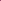 Cosmetics Nail Polish  - 204