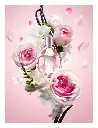 Flowerbomb Woman 30ml (Outlet)